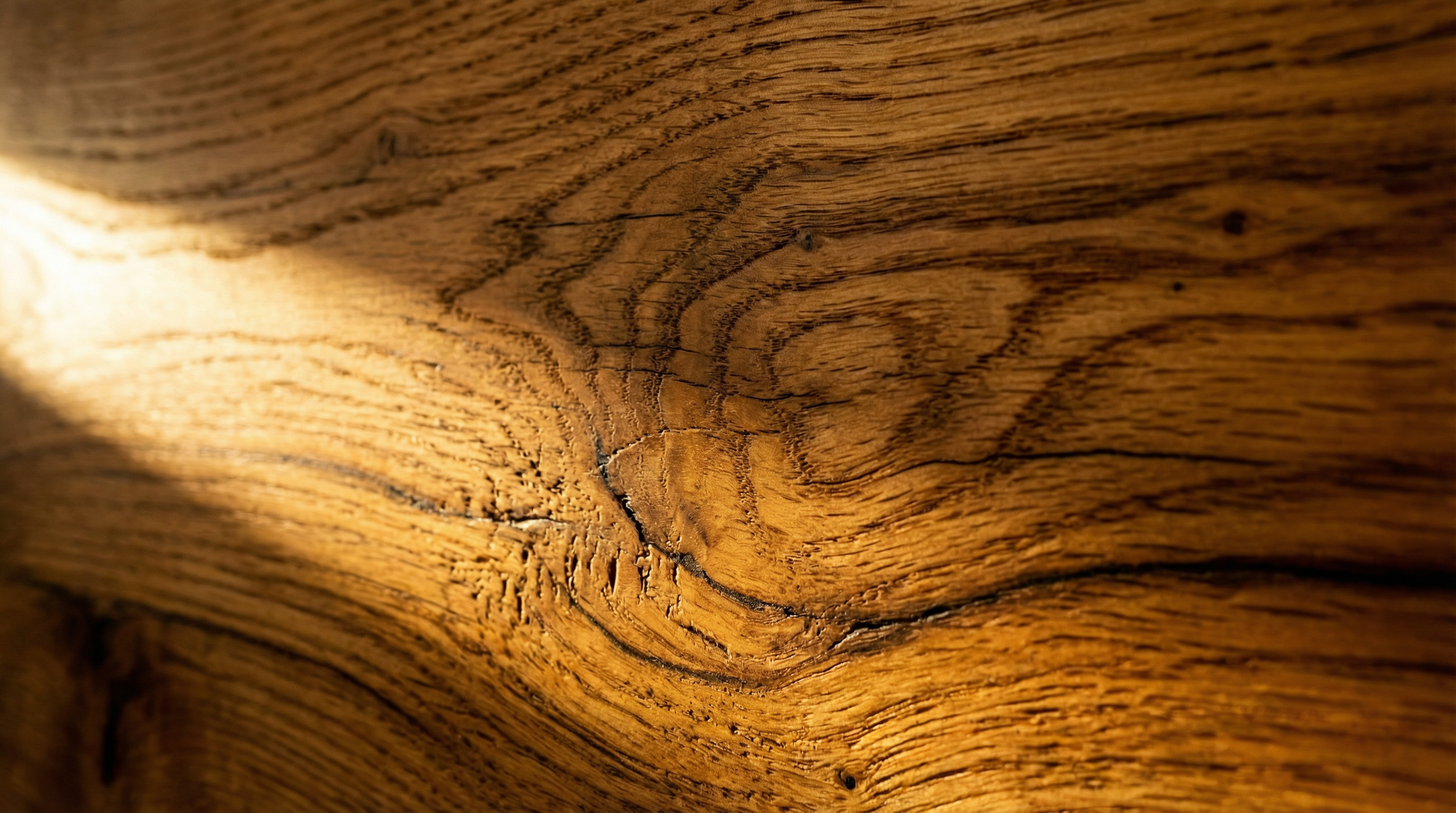 Wood grain texture