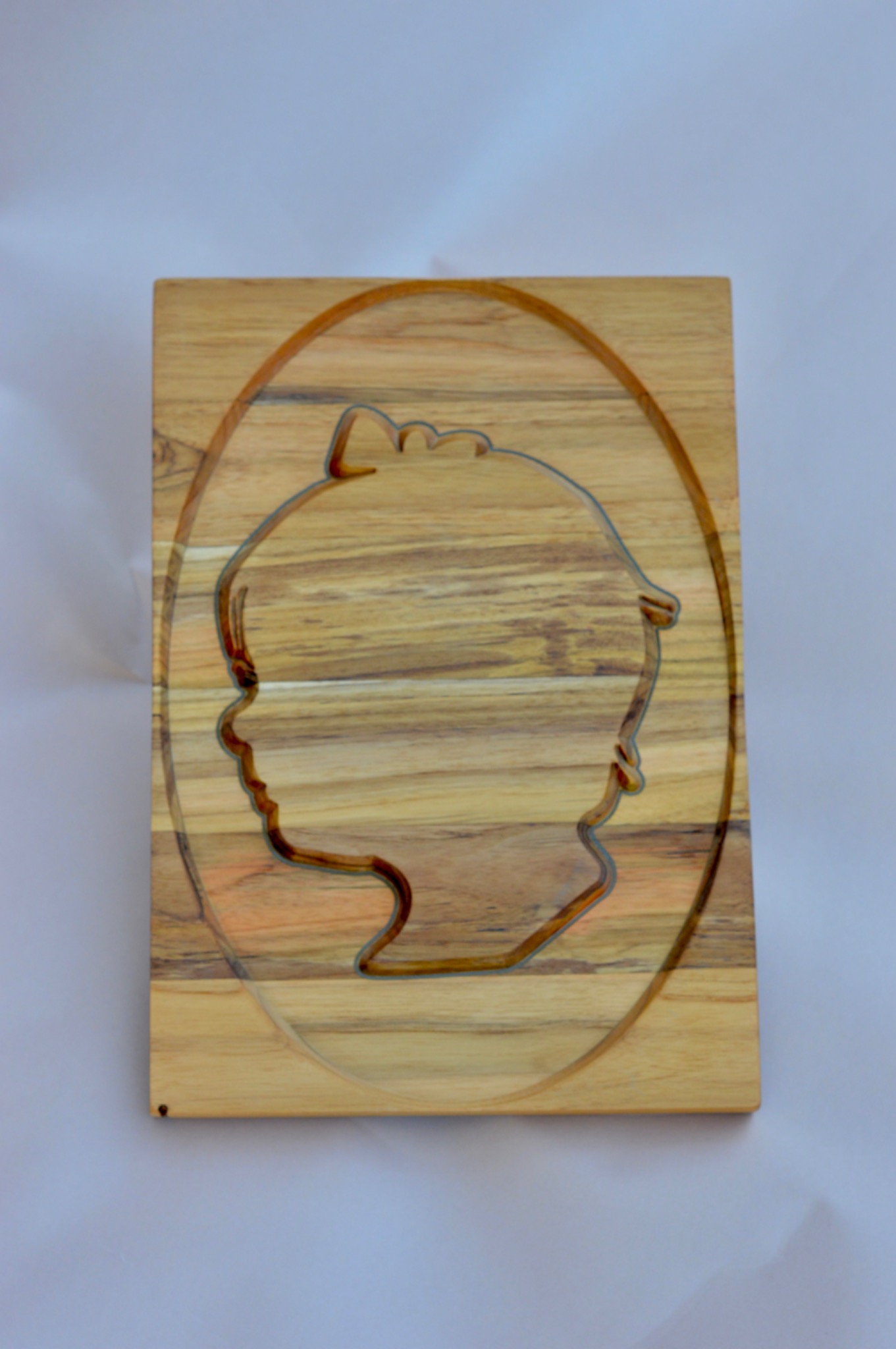 Custom Portrait Silhouette